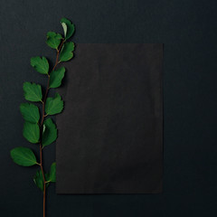 Fototapeta na wymiar Green leaves with black card with empty space on the dark background. Flat lay. Nature concept. Postcard