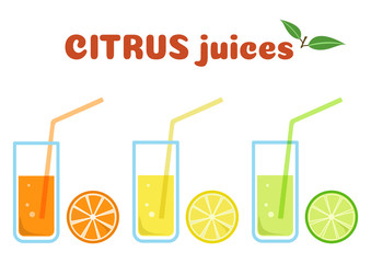 Citrus juices in glasses with fruits, colorful set, vector illustration