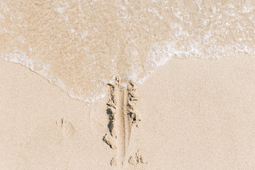 The line on the yellow sand