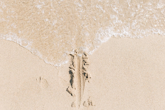 The line on the yellow sand