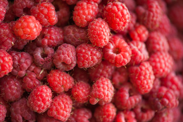 raspberry