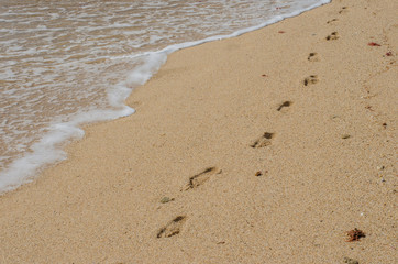 Footprints on the sand near Porto Covo, Portugal.