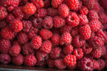raspberry