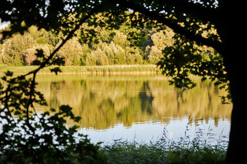 Fototapeta premium Wild pond