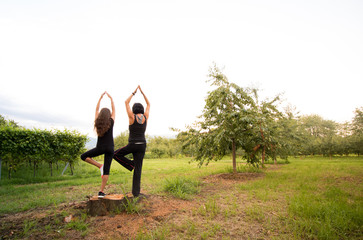 Mutter und Tochter beim Yoga an der frischen Luft