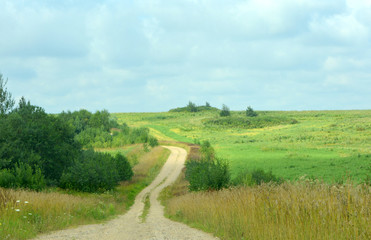A beautiful natural summer countryside landscape: a sandy winding road into the distance amid the fields with a sunny day turn. Wildlife. Nature