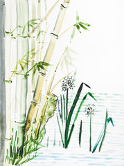 Fototapeta na wymiar view of reed in water of lake