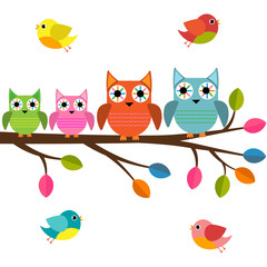 Fototapeta premium Four owls on a branch with birds