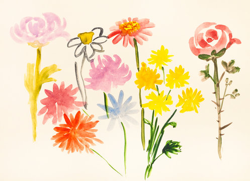 various fresh flowers on ivory colored paper