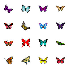 Obraz na płótnie Canvas Realistic Checkerspot, Callicore Cynosura, Tiger Swallowtail And Other Vector Elements. Set Of Beauty Realistic Symbols Also Includes Julia, Beauty, Green Objects.