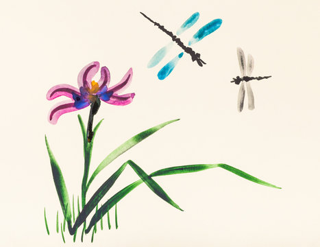 Two dragonflies over iris flower on meadow