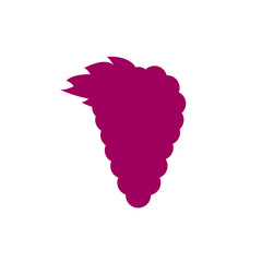 Grapes icon in flat style.