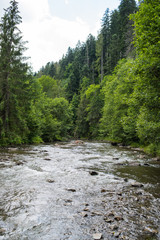 Obraz premium Mountain river