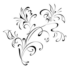 ornament 80. stylized flower in black lines on a white background
