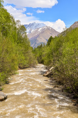 Fototapeta na wymiar Nature and mountains of the North Caucasus