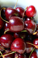Berries cherries shooting at close range, harvest of solar summer