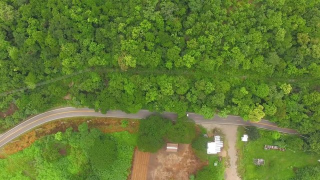 Aerial view of car on road in tropical forest, Shot from drone
