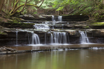 Waterfall At Christman Sanctuary 