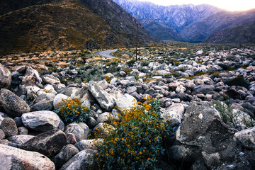 Obraz premium lost road and rocks