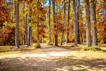 Naklejka premium Hiking trail in a park