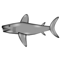 Shark sign icon.