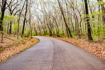 Fototapeta premium Covered Road