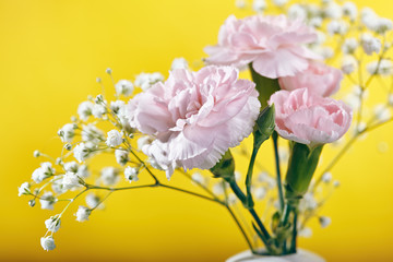 Small bouquet of pink Carnations Flower