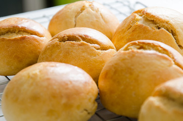 Homemade buns on cooking rack ready to eating.Delicious bakery