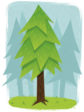 pine forest  illustration