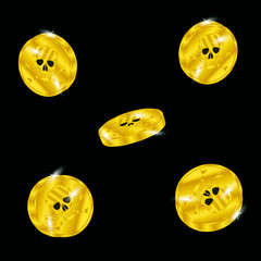 Fototapeta premium Pirate coin