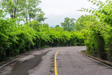 Asphalt road in forest at national park thailand