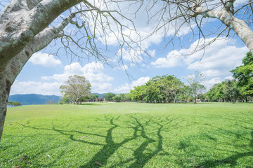 Obraz premium Public Landscape