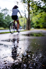 Park path after the rain
