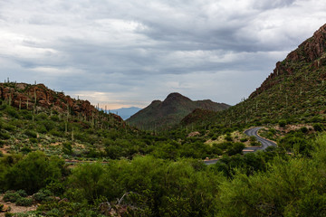 A highway winds through the lush mountains of Tucson Mountain Park,