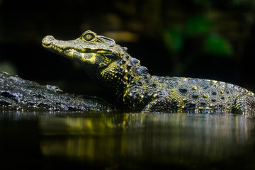 by Thorsten Spoerlein (www.thorstenspoerlein.com)