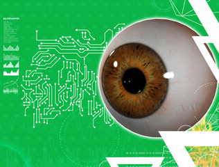 3D medical illustration of the eye