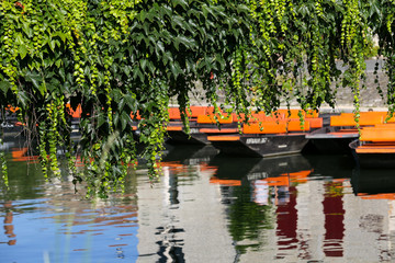 marais poitevin 