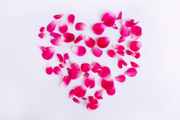 Pink Rose petals