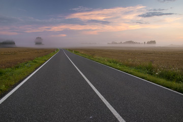 Fototapeta premium Road to the German village on a foggy morning