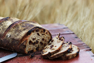 小麦畑でピクニック