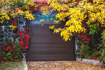 Autumn colors. Beautiful leaves of trees around roller shutter