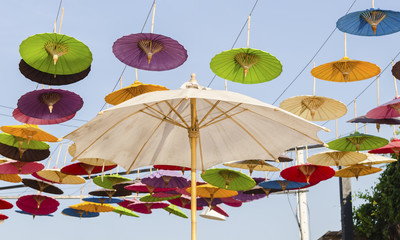 Obraz premium umbrella garden - Thailand