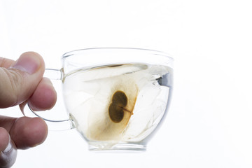 The Oroxylum indicum seed is used in the traditional Indian and Chinese medicine. And using it to make tea in a glass cup.