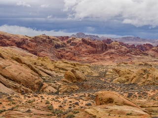 The unique red sandstone rock formations