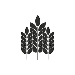 Barley vector icon.