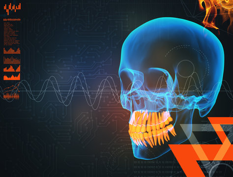 3d render human x ray skull on black background