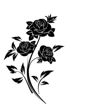 Black silhouette of roses ornament. 