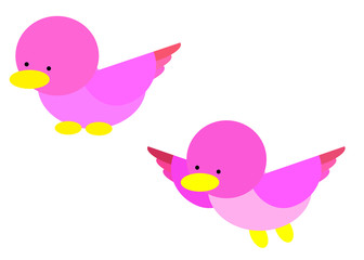 pink bird