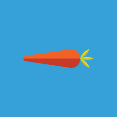 Carrot flat icon. Vector illustration © Be.sign