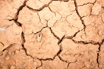 Dry land, Ground caused by drought.